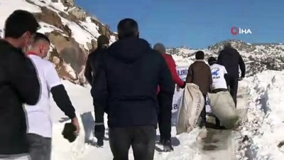  Vangölü aktivistleri Süphan Dağı eteklerine yaban hayvanları için yem bıraktı