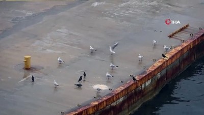 feribot iskelesi -  Çanakkale’de, Gelibolu-Lapseki feribot seferlerine fırtına engeli Videosu