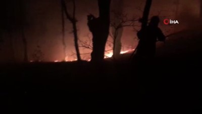 Amasya’da samanlıkta çıkan yangın ormanlık alana sıçradı