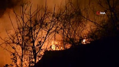 yangina mudahale -  Ordu'da örtü yangınları devam ediyor Videosu