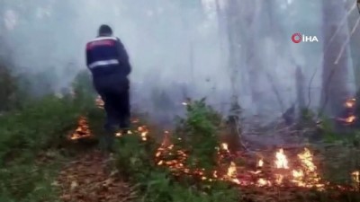yangina mudahale -  Sinop'ta orman yangını Videosu