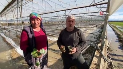 su baskini -  Çiftçi fırtına sonrası yaralarını sarıyor Videosu