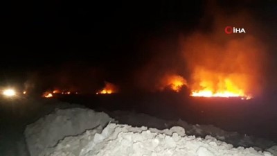  Samsun’da sazlık yangını