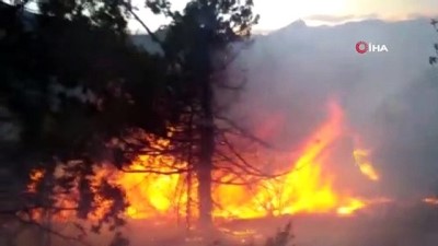 - Arjantin’deki Yangında 10 Bin Hektar Ormanlık Alan Küle Döndü