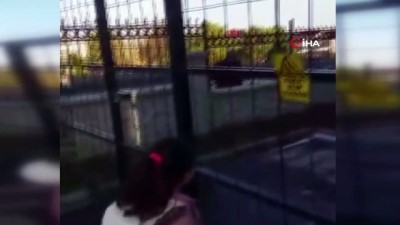 okul muduru -  Okul bahçesine inen tilkiyi, müdür elleriyle besledi Videosu