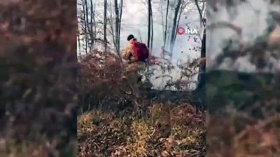  - Rusya’da yeni yıl kutlamalarında atılan havai fişekler orman yangınına neden oldu