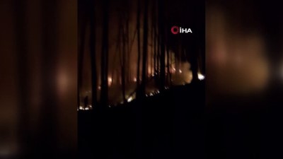 koy imami -  Orman yangınını köylüler söndürdü Videosu