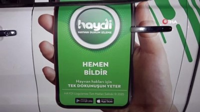  Elif Naz’ın dikkati mahsur kalan kediyi kurtardı