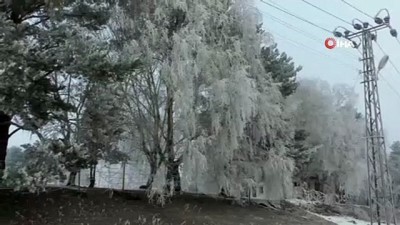  - Kars'ta, soğuktan sis ve kırağı oluştu