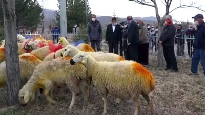  Kazada koyunları telef olan Şerife anne koyunlarına kavuştu