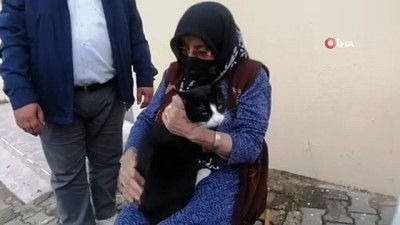 ekince -  Kedisini severken gelen sertliği hissetti, soluğu jandarmada aldı Videosu