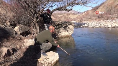 olu balik -  Tunceli’de suya elektrik verildi, çok sayıda balık telef oldu Videosu