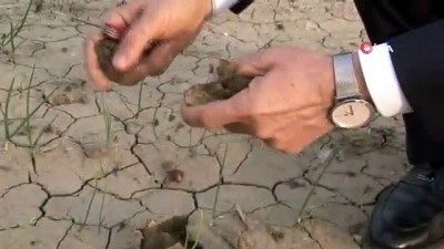 su sikintisi -  Adana'da son 92 yılın en kurak kışı yaşanıyor Videosu
