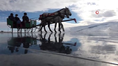 gezin -  Çıldır Gölü'nde atlı kızak sezonu başladı Videosu