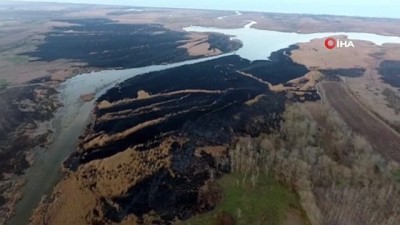 orman arazisi -  Samsun’da 4 gün süren sazlık yangını Videosu
