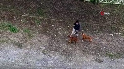  Sokak ortasında vicdanları sızlatan görüntüler...Biri tasmalı diğeri tasmasız iki köpeğini sokak ortasında sopayla dövdü