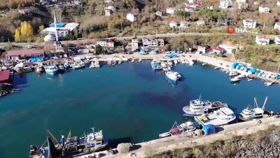 hamsi balik -  - Yasak öncesi son hamsiler tezgahlarda
- 10 günlük avlanma yasağı getirilen hamsiler, son gün tezgahlarda 20 liradan satılıyor Videosu