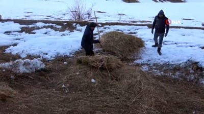  Yüksekovalı çiftçiler soğuk havaya rağmen dağdan kızakla ot taşıyor