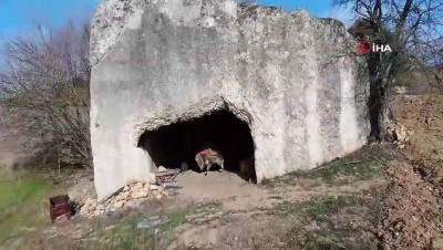  Bursa’da 2 bin yıllık kaya mezar Romalı soylu bir bürokrat ve ailesine ait olduğu ortaya çıktı