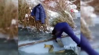 balik avi -  Buz tutan nehirde elleriyle balık avladılar Videosu