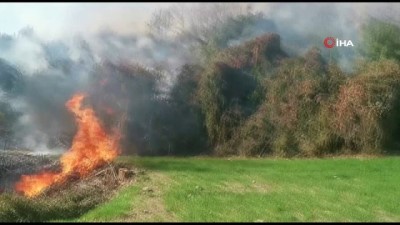 ormana -  Fundalık alanda başlayan yangın ormana sıçramadan söndürüldü Videosu