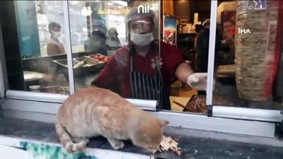 tavuk doner -  Karnı acıkan kedinin karnını döner ustası doyurdu Videosu