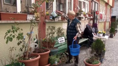 konusma bozuklugu -  Yarım asırlık eşi için evinin önünü botanik parka çevirdi Videosu