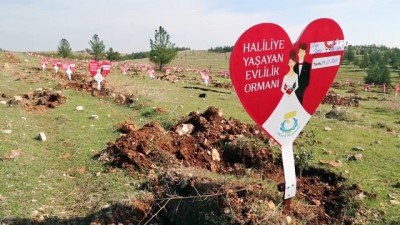  Evlenen çiftlere ömürlük hediye