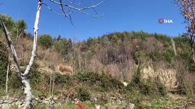 ormanli -  Hatay’da örtü altı yangını büyümeden söndürüldü Videosu