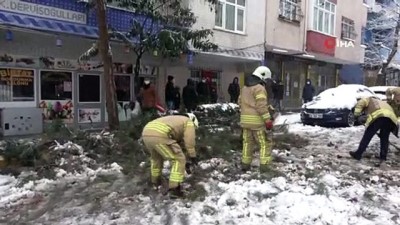 kar yagisi -  Sancaktepe’de devrilen ağaç yolu kapadı Videosu