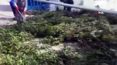 feribot seferleri -  Bodrum’daki fırtına balıkçı teknelerini batırdı, dalgaların boyu 2 metreyi aştı Videosu
