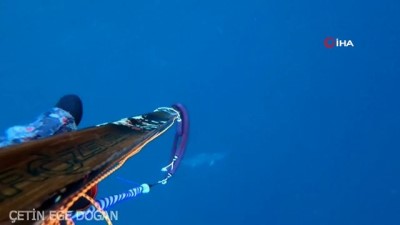 sualti kamera -  Soğuk havada zıpkınla yaklaşık 2 metrelik akya avladı, o anları böyle kaydetti Videosu
