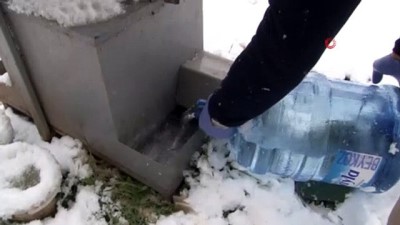 hayvan sevgisi -  Tuzla’da sokak hayvanları unutulmadı Videosu