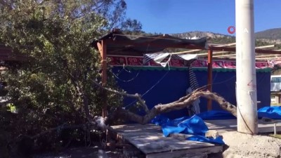 akbuk -  Fırtına Akbük’te hasara yol açtı Videosu