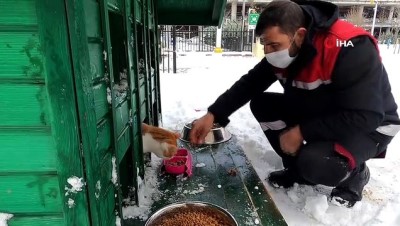 karli hava -  Sancaktepe Belediyesi karlı havada minik dostlarımızı unutmadı Videosu