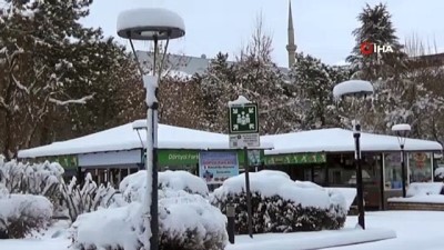 kar temizligi -  Bingöl kara teslim oldu, 262 köy yolu ulaşıma kapandı Videosu