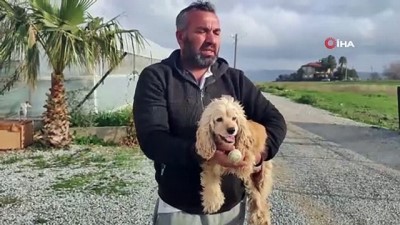 hobi bahcesi -  Elinde tüfekle köpeği kovalarken yakalandı, köpek sahibine etmediği hakaret kalmadı Videosu