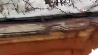 hava sicakligi -  Erken çiçek açan meyve ağaçları kar altında kaldı Videosu