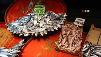 balik fiyatlari -  Fırtına ve soğuk hava balığı vurdu Videosu