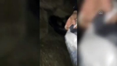 kadin kiyafeti - VAN - Kadın kılığına girerek okuldan hırsızlık yapan 2 şüpheli tutuklandı Videosu