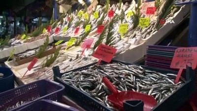 balik turu -  Hamsiye gelen av yasağı tüm balıkları etkiledi Videosu