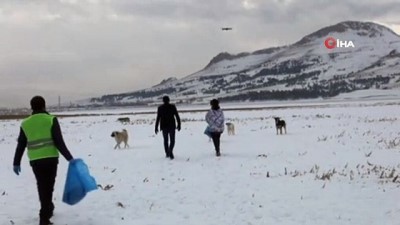 ipekyolu -  - Köpeklerin drone imtihanı Videosu