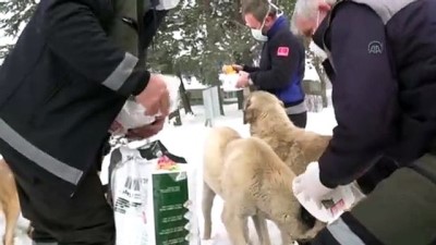 kar ortusu - Karla kaplı Uludağ'daki sokak hayvanları besleniyor Videosu