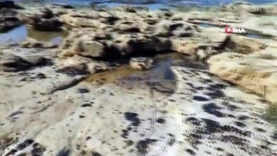 balina -  - Akdeniz’deki petrol sızıntısı nedeni ile İsrail'de plajlar kapatıldı Videosu