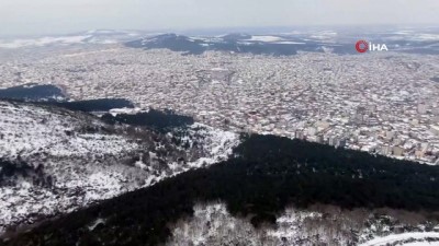 kar yagisi -  Karlar altındaki Aydos Ormanları'nda kartpostallık görüntüler Videosu