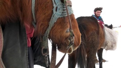 KARS - Hayvanları için dondurucu soğukta karlı dağlardan ot taşıyorlar