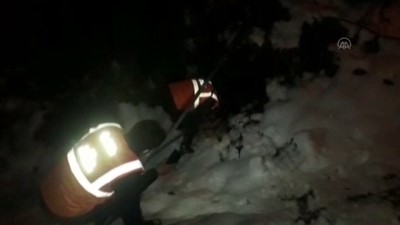donma tehlikesi - ORDU - Düştüğü derede donma tehlikesi geçiren köpek belediye ekiplerince kurtarıldı Videosu