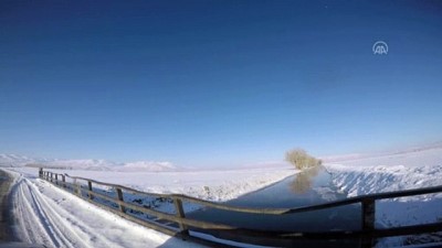 kar yagisi - ERZURUM - Kar yağışı sonrası doğada güzel görüntüler oluştu Videosu