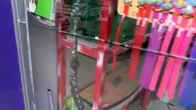 vitrin -  Hırsız 100 liralık tasmayı çalmak için bin 500 liralık çamı kırdı Videosu