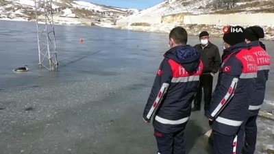  İtfaiye ekipleri buz tutan gölde donmak üzere olan kuşu kurtardı